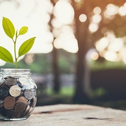 Plant growing out of a jar full of coins